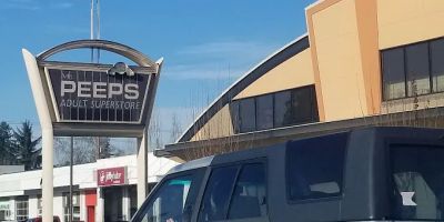 Mr. Peeps Adult Super Store