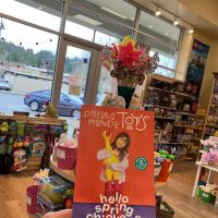 Piccolo Mondo Toys - Bethany Village Centre ico