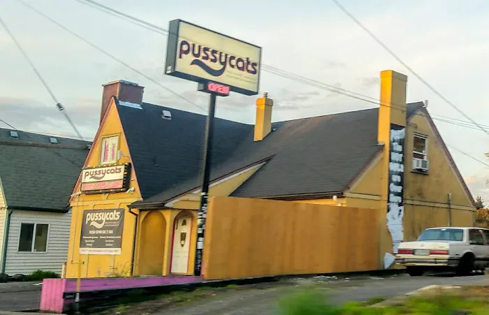 Pussycats 5