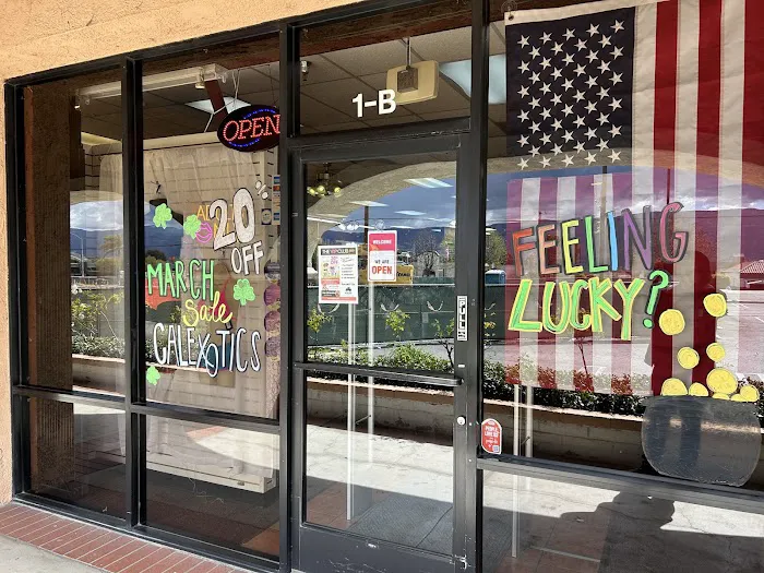 Lotions & Lace Adult Superstore 4