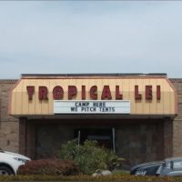 Tropical Lei ico