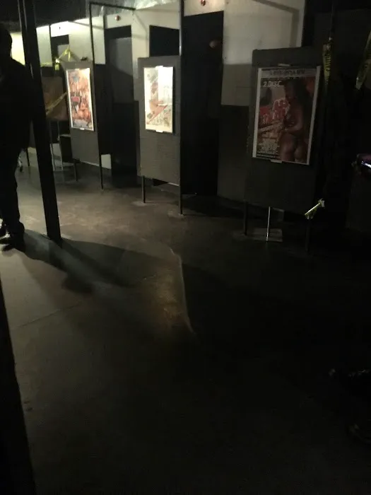 Wildcat Adult Store 4