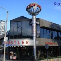 HUSTLER® Hollywood ico