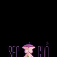 SecGuo ico