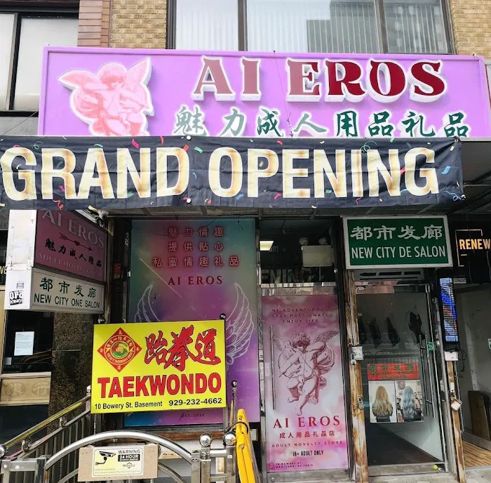 Ai Eros Adult Novelty Store (Manhattan) 4