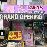 Ai Eros Adult Novelty Store (Manhattan) ico