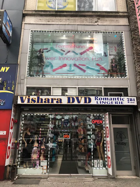 VISHARA VIDEO INC. 4