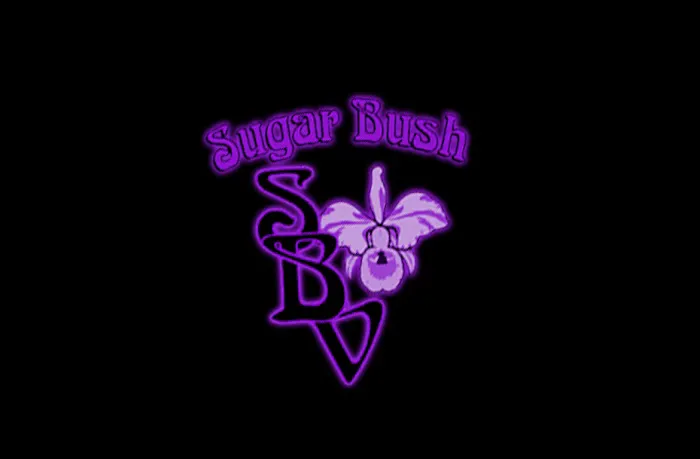 Sugar Bush Video 4