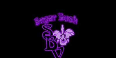 Sugar Bush Video