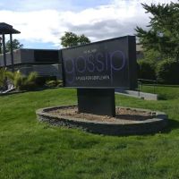 Gossip Night Club ico