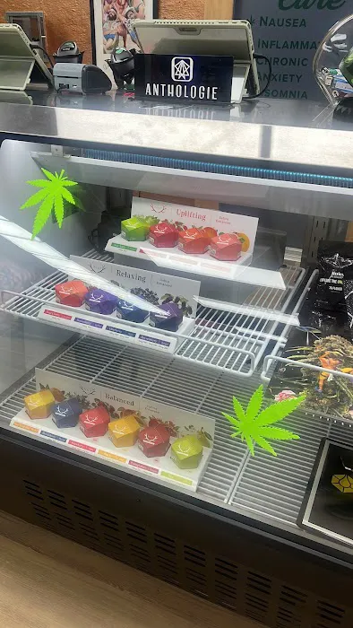 Mad Hatter Dispensary 5