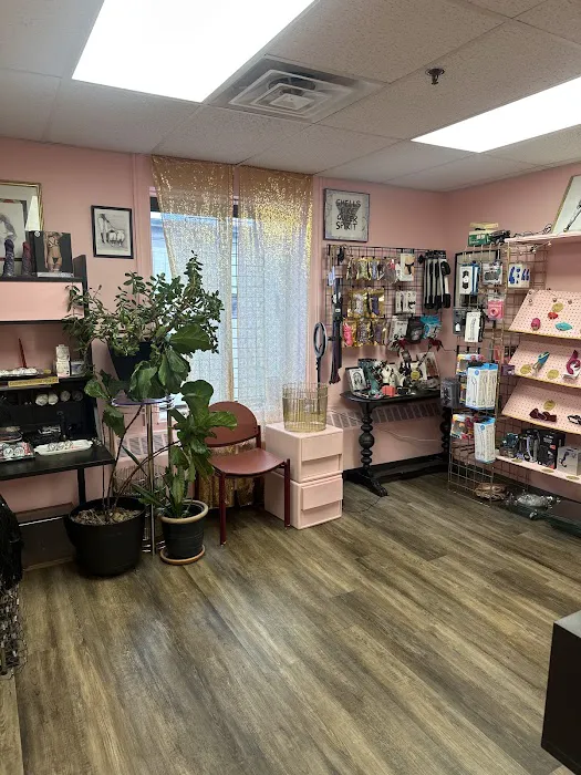 F.E.M. Shop 4