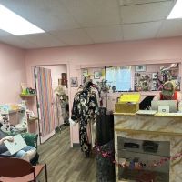 F.E.M. Shop ico