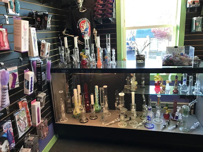 Heady Teddy's Outfitters 3
