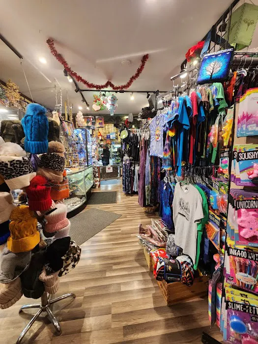 Heady Teddy's Outfitters 3
