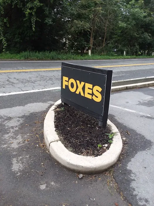 Foxes Gentlemen's Club 4