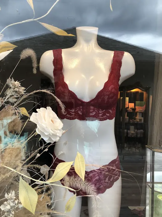 Salix Intimates 3