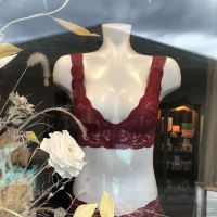 Salix Intimates ico
