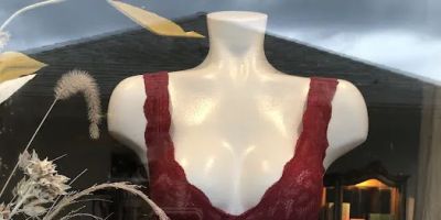Salix Intimates