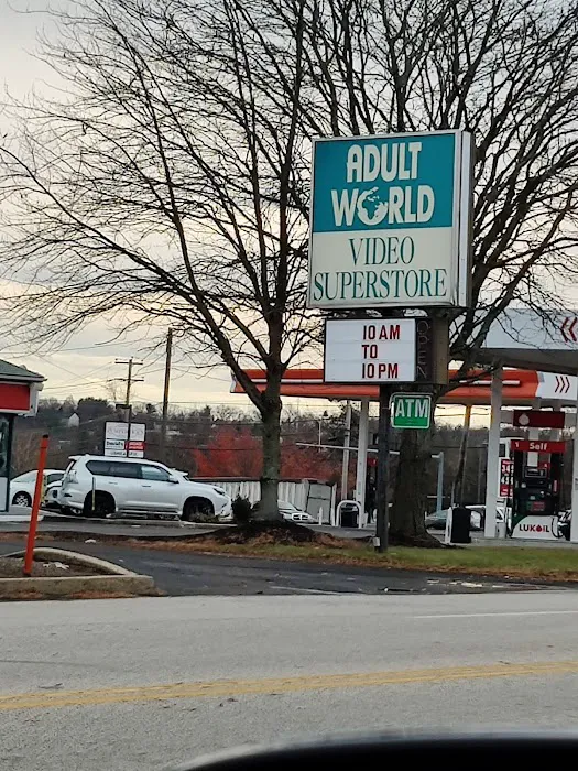 Adult World 4
