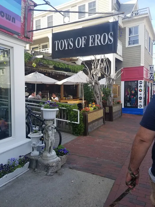 Toys of Eros 5