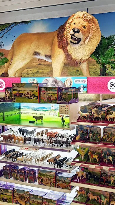 Maziply Toys 4