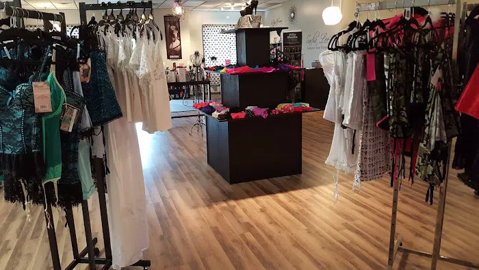 Sasha Lee's Romance Boutique 4