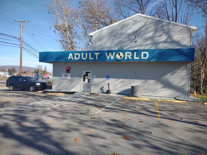 Adult World 4