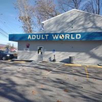 Adult World ico