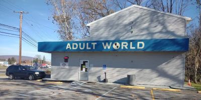 Adult World