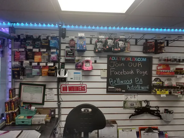 Adult World 4