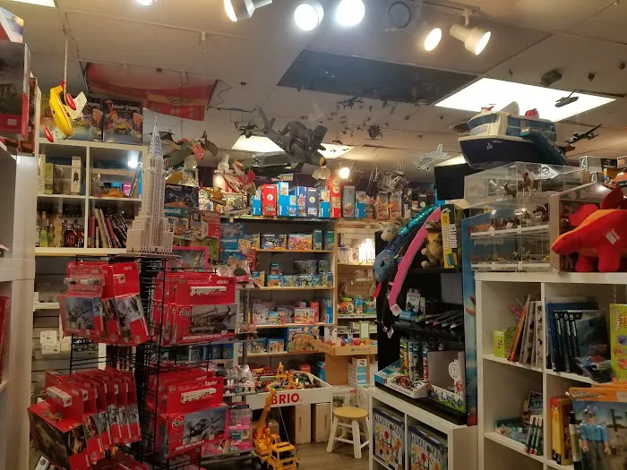 Shananigans Toy Shop 4