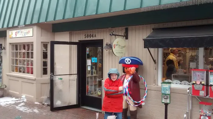 Shananigans Toy Shop 4
