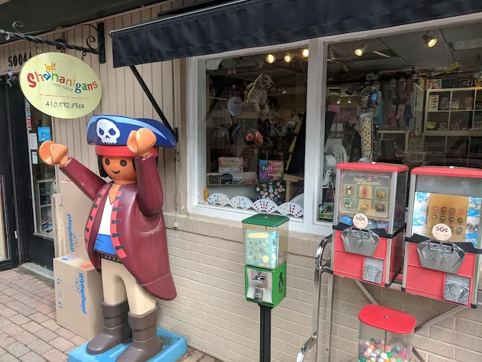 Shananigans Toy Shop 4