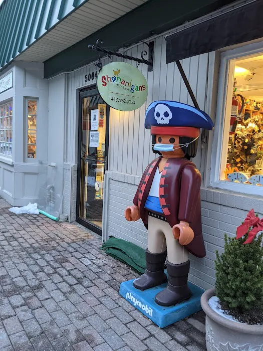Shananigans Toy Shop 4
