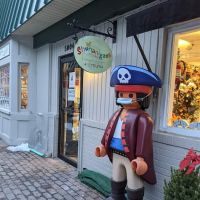 Shananigans Toy Shop ico