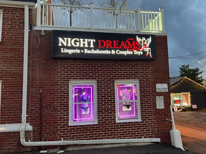 Night Dreams 4
