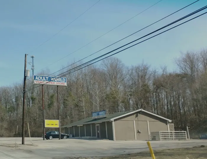 Adult World 1