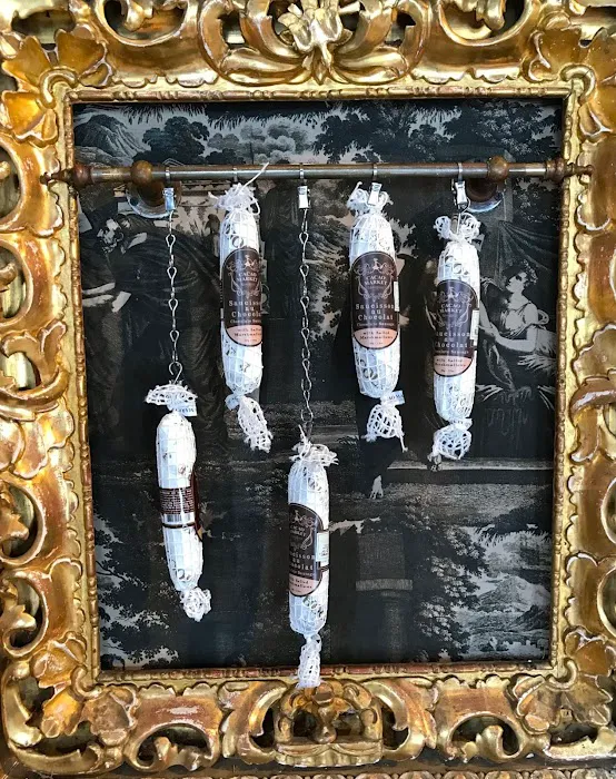 Pulchra 5