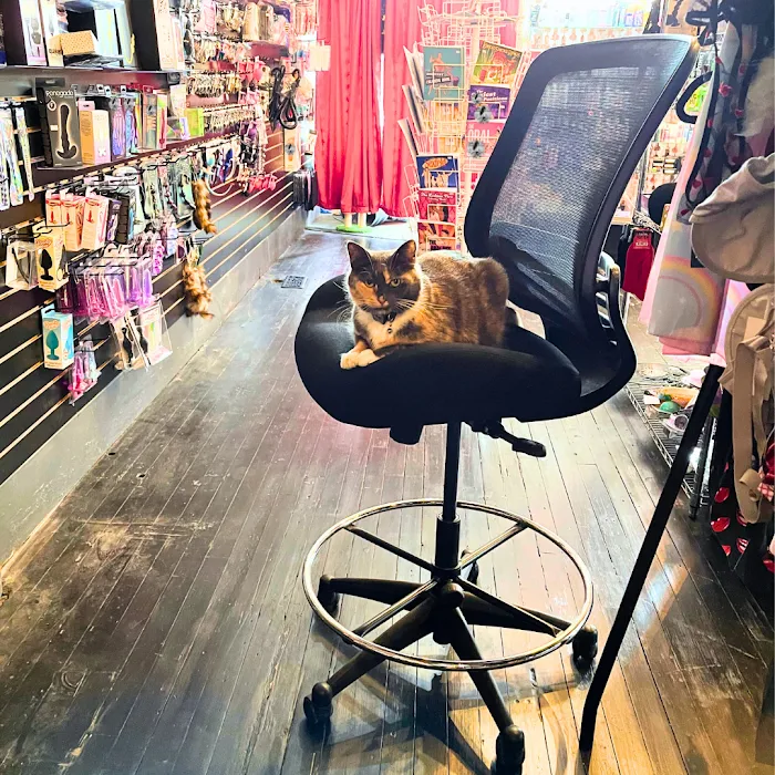 Medusas Adult Boutique 5