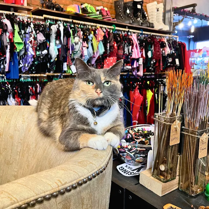 Medusas Adult Boutique 5