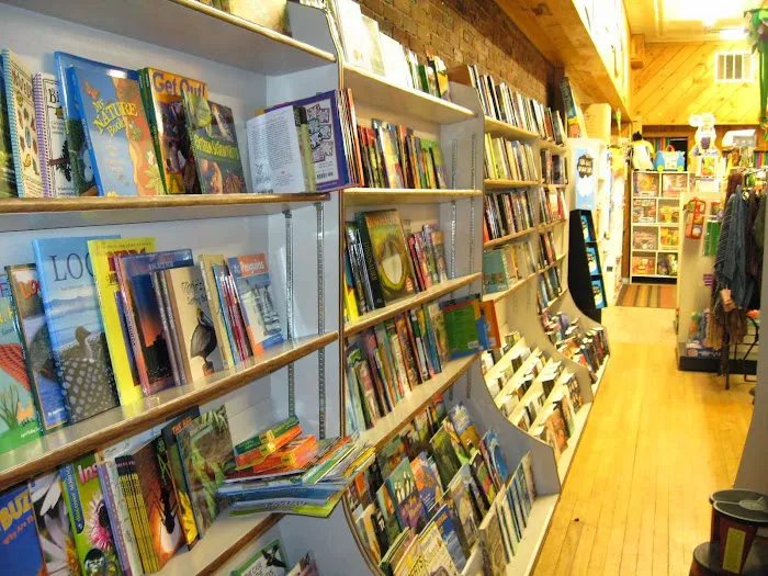 Children's Book Cellar 4