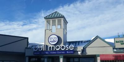 Bull Moose