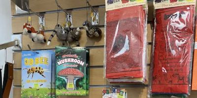 Dragonfly Castle Toys