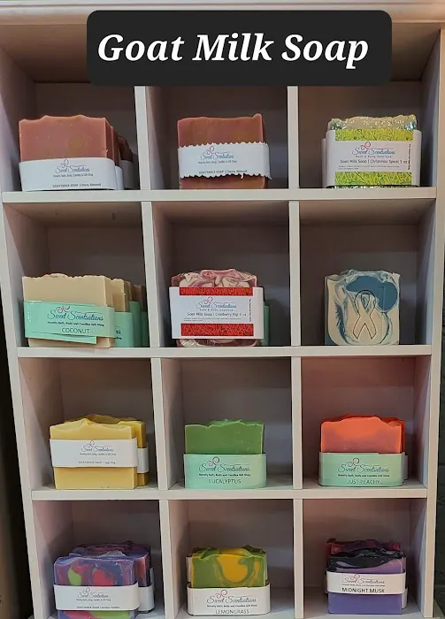 Sweet Scentstations 4