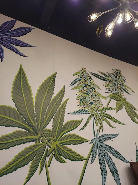 HIGHLY Recreational Dispensary (Adult use 21+) - South Portland 4