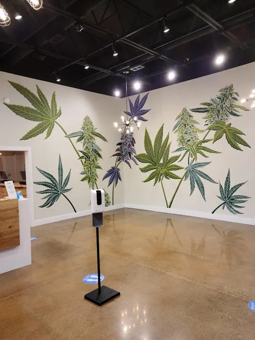 HIGHLY Recreational Dispensary (Adult use 21+) - South Portland 4
