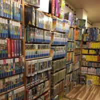 Woodbury Mountain Toys ico